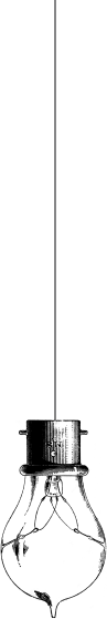bulb